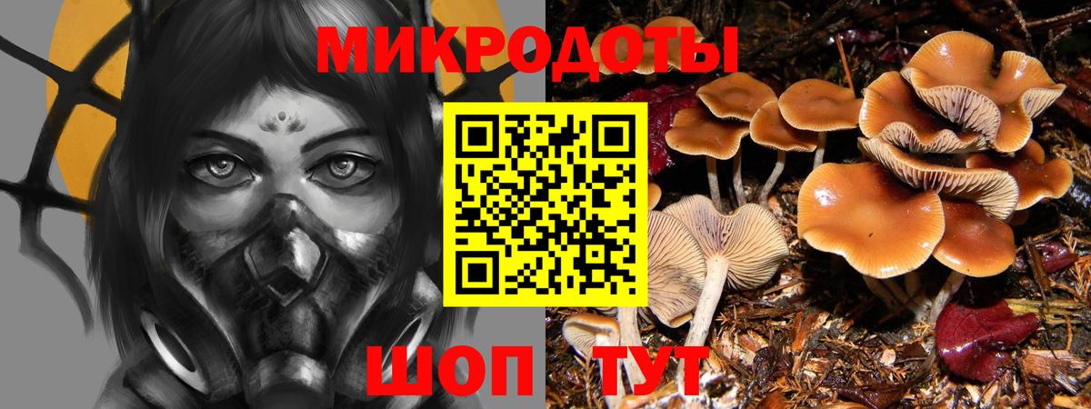 Галлюциногенные грибы MAGIC MUSHROOMS  где купить наркоту  Вход с VPN  Сарапул  Галлюциногенные грибы прущие грибы 